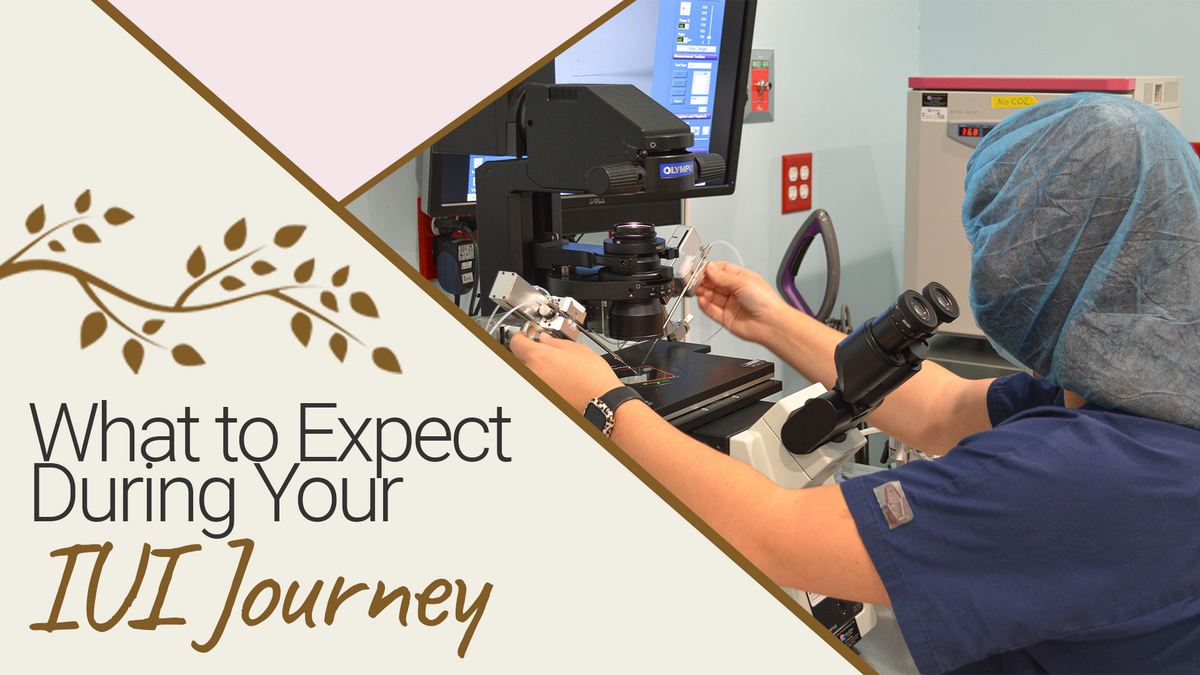 What to Expect During Your IUI Journey